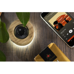 Głośnik bezprzewodowy RORAT